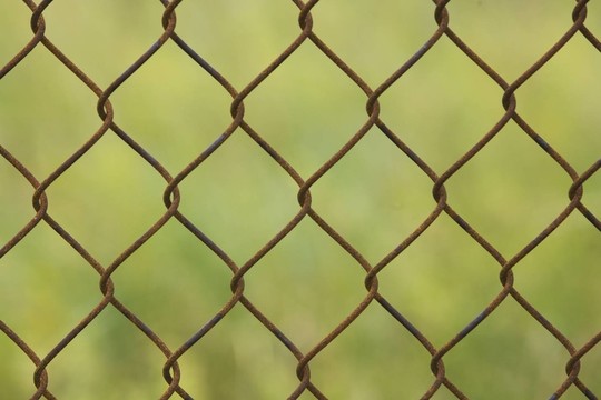 微距