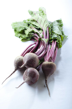 甜菜根