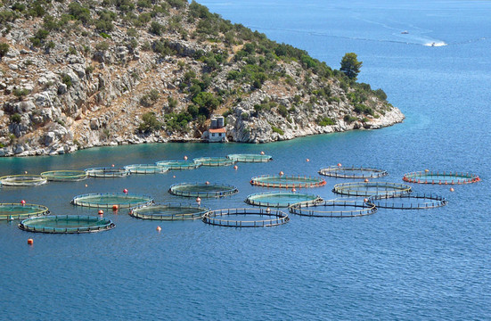養(yǎng)魚(yú)場(chǎng)- peloponnese