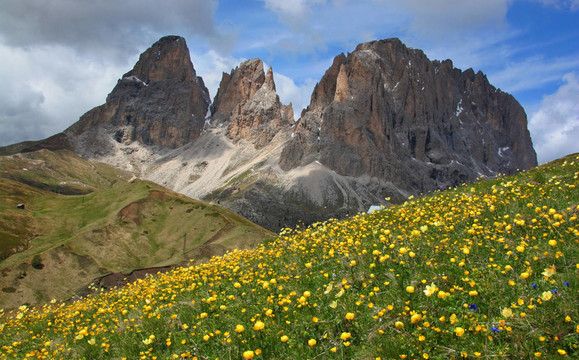 山