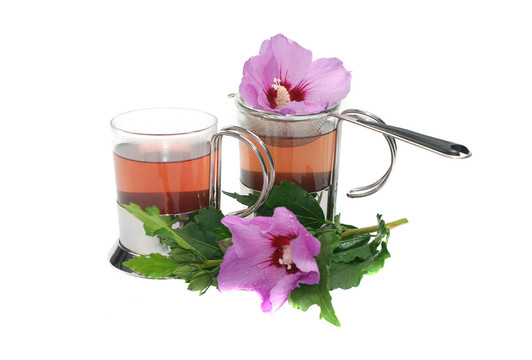 hibiskusblütentee
