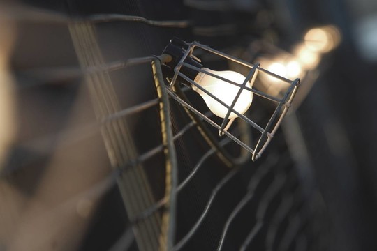 燈