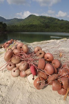 山