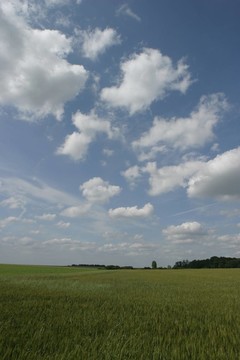 藍(lán)色的光芒