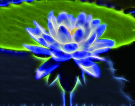 荷花裝飾畫(huà) 無(wú)框畫(huà) 荷花印象畫(huà)