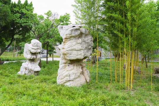 竹林景觀石