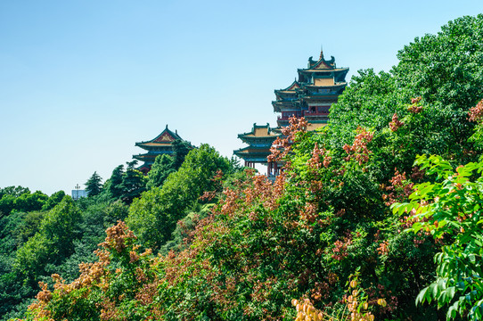 閱江樓