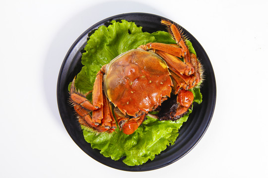 大閘蟹