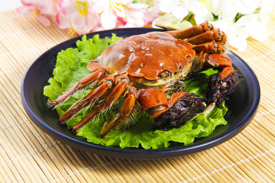 大閘蟹 清蒸大閘蟹