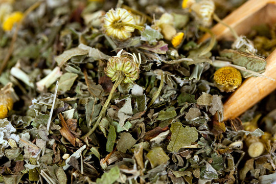 草藥茶