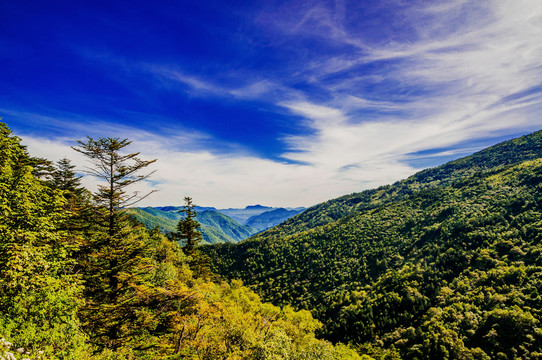 神農(nóng)架山景
