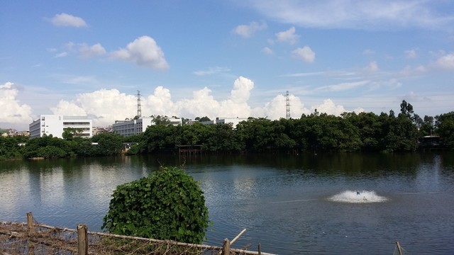 藍(lán)天白云