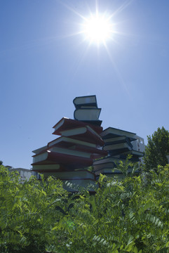 書籍