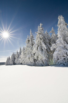 winter200923