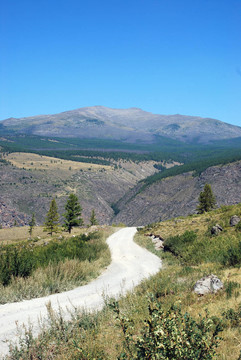 山