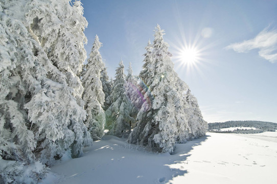 winter200927