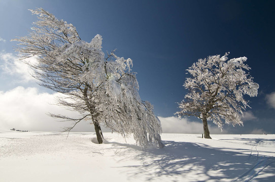 winter200928