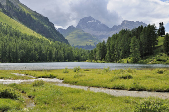 albulasee