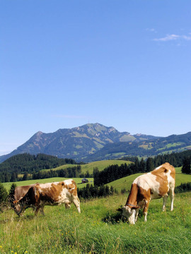 sonnenklause 13