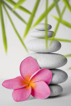 花卉