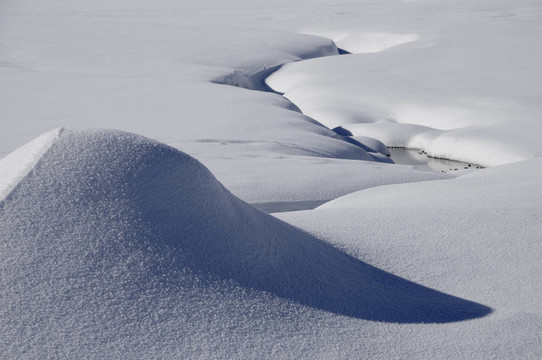 雪中喙