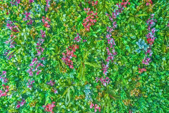 高清綠植花墻
