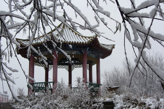 大興安嶺森林初雪