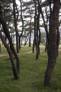 公園