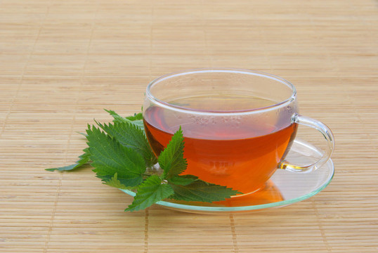 茶蕁麻-茶蕁麻06
