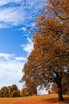 herbsterwachen 2