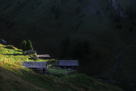 ALP