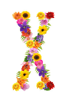 X