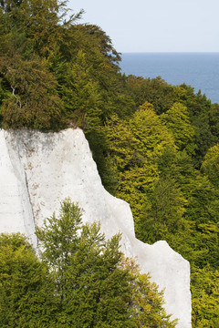 koenigsstuhl