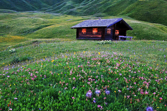 在blumenmeer木屋