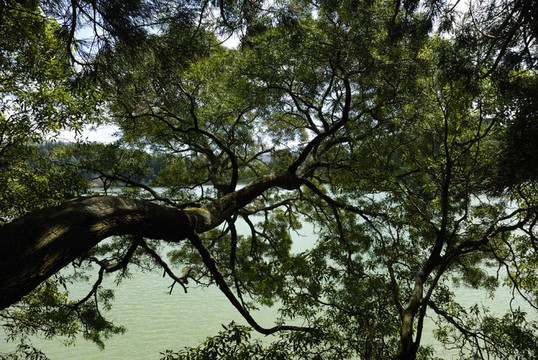 拉戈阿das Furnas