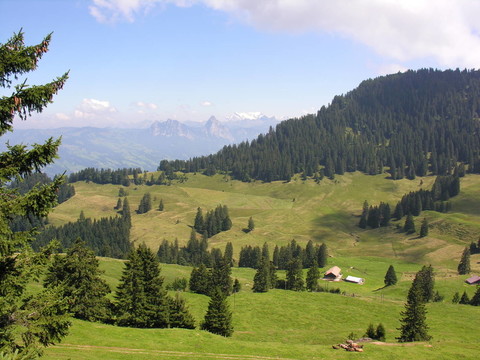 山