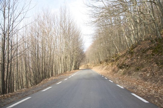旅游
