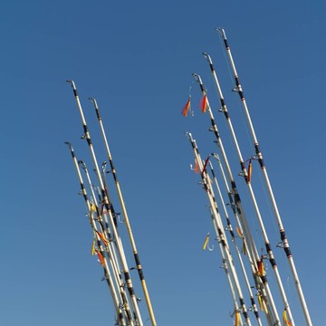體育