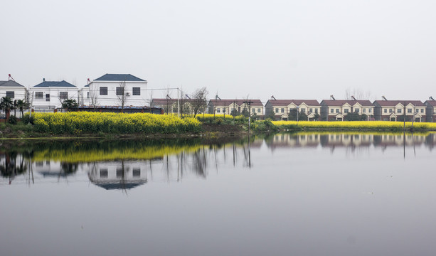 鄉(xiāng)村美景