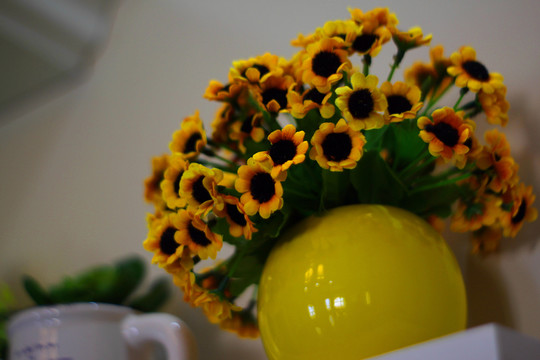 太陽花