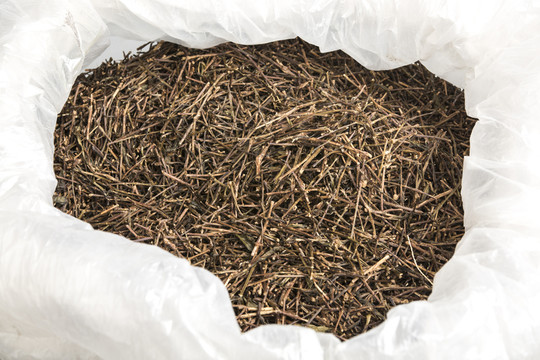 茶葉梗 茶梗 茶 巖茶梗