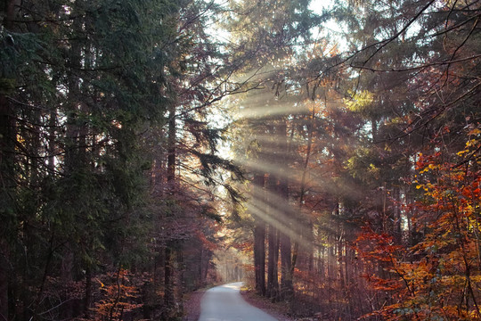 herbststimmung