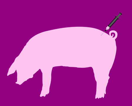 動物插圖