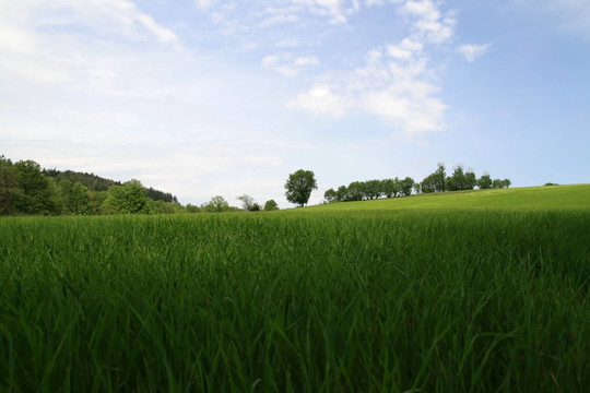 藍