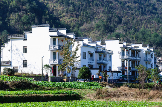 鄉(xiāng)村民居