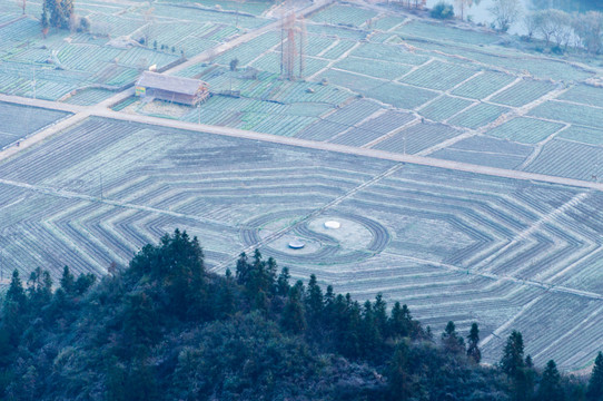 農(nóng)田太極圖