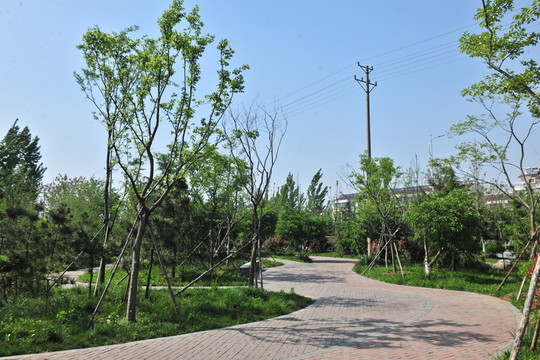 公園綠化 園林景觀