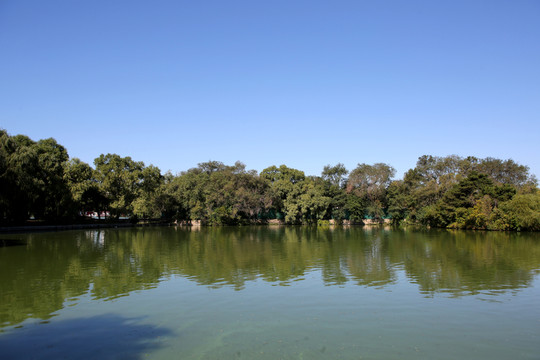 北陵公園 湖面 水面 風(fēng)景