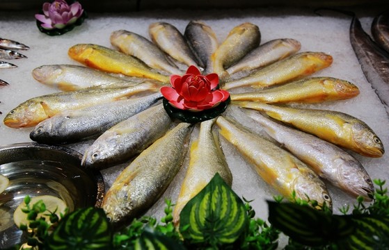 菜品 海鮮  花魚