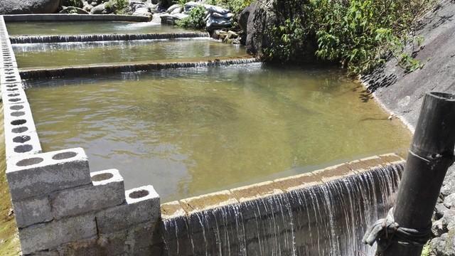 階梯流水